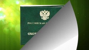 Какие нужны документы на охоте и как их получить?