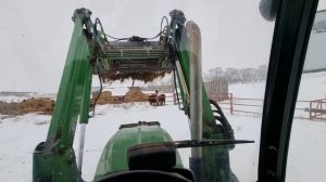 ПЕРВЫЙ В 2022 ГОДУ СЕНАЖ РАЗДАЕМ БЫЧКАМ . Травяной откорм - лучший вкус Мяса !!! Январь 22 года.