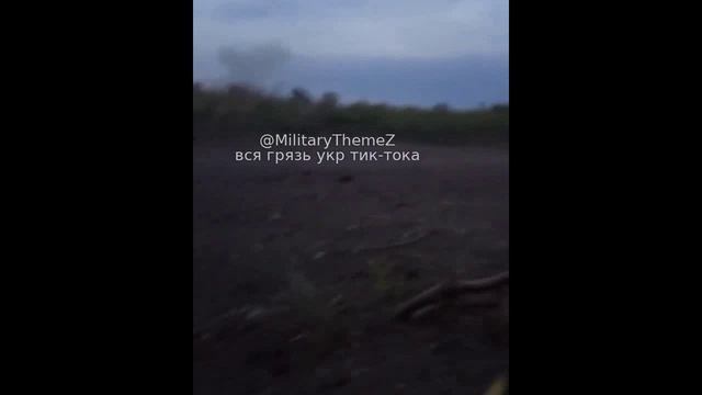 Денацификация...