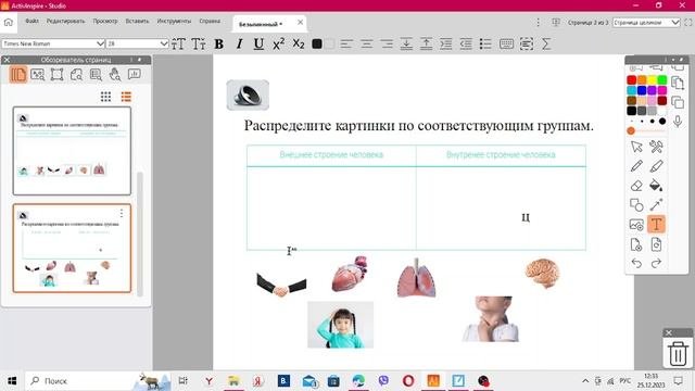 Строение тела человека