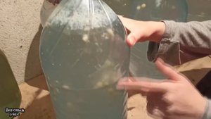 Квас не весь готов...  Ответ на комментарий по поводу готовности кваса.