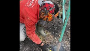 октябрь - ноябрь 2023