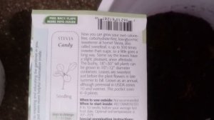 How to Grow Stevia in a 5 Gallon Food Safe Bucket