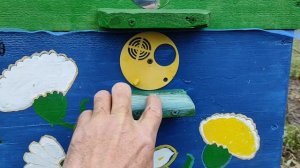 Летковый заградитель.  Какой лучше?