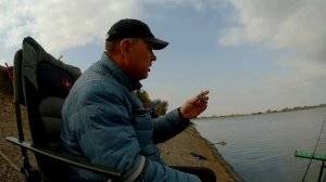 Фидерная рыбалка на запретке, карпы рвут поводки и валят треноги с удилищами!