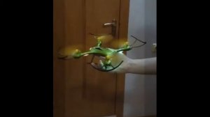 Тест JJRC H31 c распечатанными на 3D принтере пропеллерами.