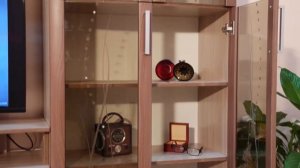 Гостиная Макарена1 Ясень Шима Росток Мебель