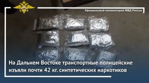 Ирина Волк: На Дальнем Востоке транспортные полицейские изъяли почти 42 кг. синтетических наркотиков