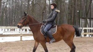 Подъем в рысь от корпуса. Как поднять лошадь в рысь. Верховая езда. Посадка всадника.