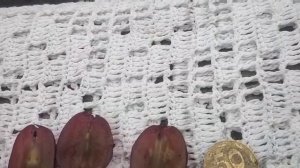 Шоколадный!!! Столовый высокоурожайный сорт винограда!!! или Марадонна красная, Памяти Голодрыги!!!