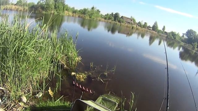 ФИДЕРНАЯ ЛОВЛЯ КАРАСЯ НА СПРЕЙ ОТ КОМАРОВ смотреть онлайн