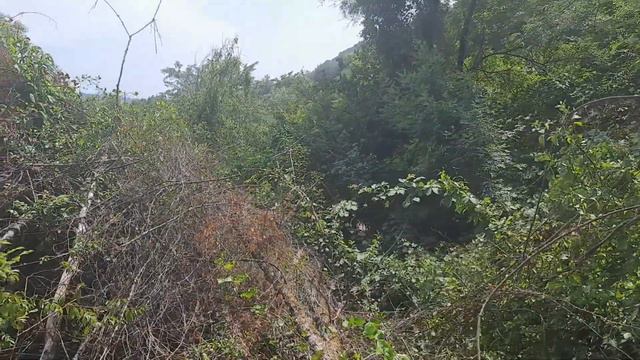 Казачий Брод Сочи Адлер смотреть онлайн