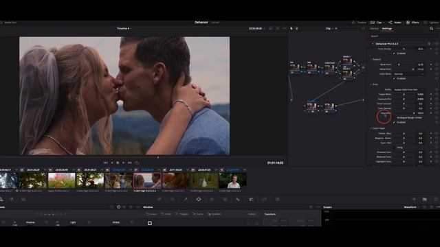 TRANSFORM your footage with DEHANCER PRO: An introduction to FILM EMULATION and more (+Giveaway!)