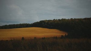 Татарская народная песня - "Заман"