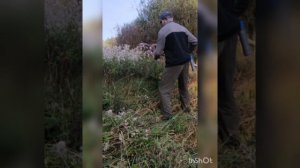 Всё таже коса. Непревзойдённая Falci.