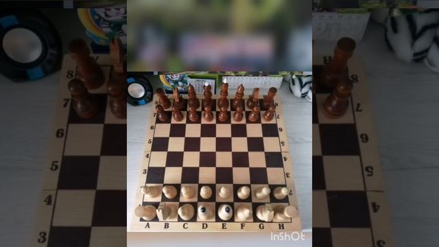 Короткая рокировка. Длинная рокировка. Урок 6. смотреть онлайн