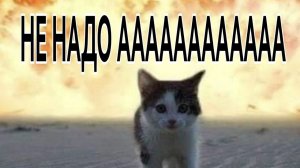 НЕ ПЕРЕВОРАЧИВАЙ