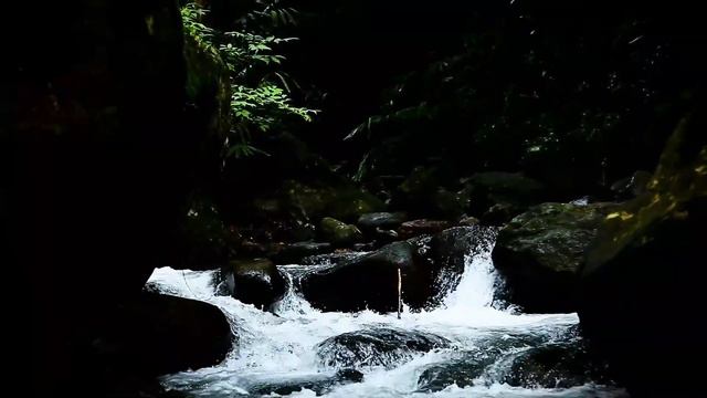 Mozart - Flute Quartet, classic music, music for relax смотреть онлайн