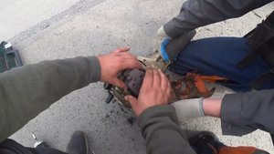 #Stihl #fs450#чистка нагара#цилиндра #ремонт стартера #потеря мощности #покос травы триммером