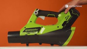 Обзор воздуходувки GREENWORKS G40ABK4 | Ситилинк