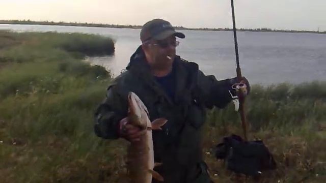 Трешка попалась на Yo Zury Cranky смотреть онлайн