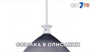 Подвесной одиночный светильник Lightstar Agola 810031