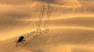 Бархан Сарыкум. Маршрут. Махачкала. Достопримечательности