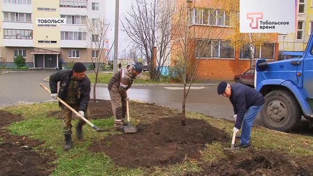 ТЫСЯЧА ДЕРЕВЬЕВ