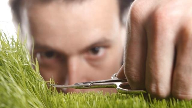 Психологическая характеристика знаков зодиака. смотреть онлайн