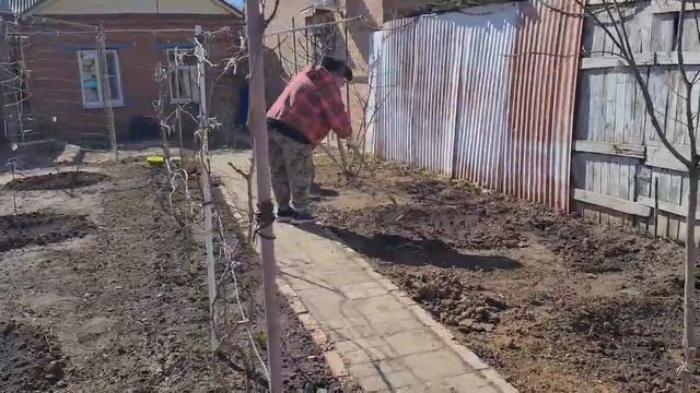 Ейск?Первый суд у Ольги прошёл.Ремонт в домике у моря. Работаем в огороде.