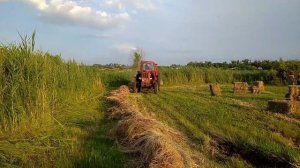МТЗ-80 И ПРЕССПОДБОРЩИК SIPMA Z244/1! ТРАКТОР И ПРЕСС VS ГРЯЗЬ!