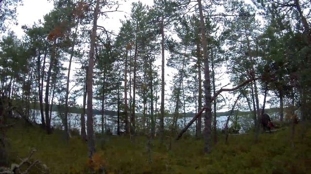 Земляника с морошкой|Часть2 смотреть онлайн