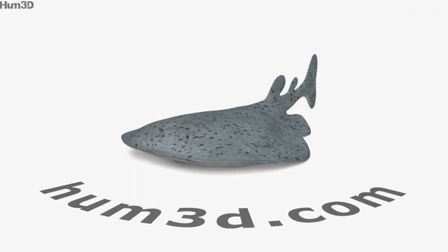 Pacific Electric Ray HD 3D model by Hum3D.com смотреть онлайн
