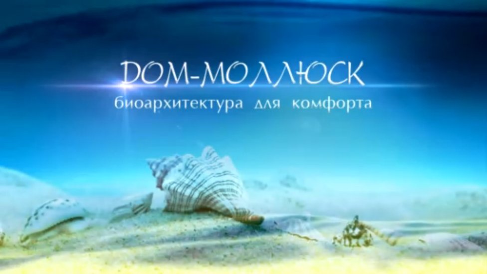 Дом-Моллюск