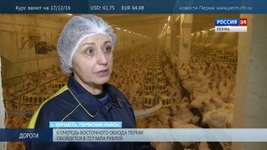 «Птицефабрика Пермская» выходит на мировой уровень