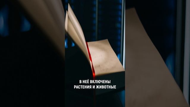 Что Такое Черная Книга??