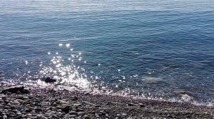 Чёрное море (пляж АО "Санаторий "Зорька")