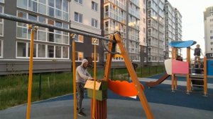 Городской рой, ПЧЕЛЫ В ГОРОДЕ, ловля роев, как собрать рой, пчеловодство, пчелы на детской площадке