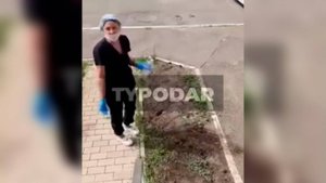 Жительница Краснодара разлила яд возле дома, чтобы защитить клумбы от собак