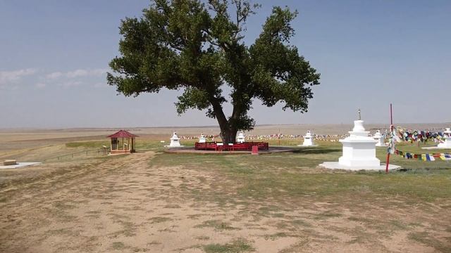 Одинокий тополь - Памятник природы Калмыкии смотреть онлайн