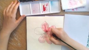 Таймлапс видео. Рисую цветок рододендрона. Акварель. Timelapse watercolor Rhododendron video.