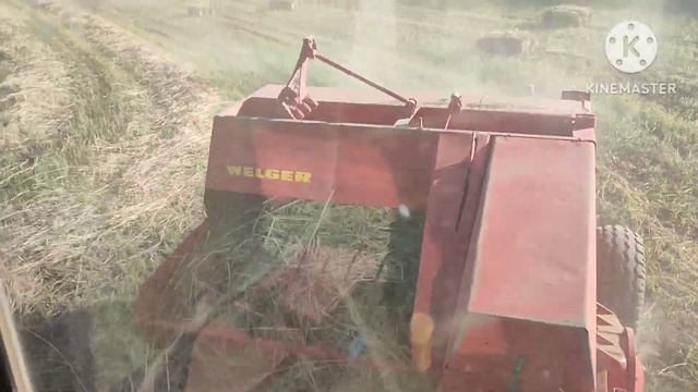 Прессую Суданскую траву прессом Welger AP61 смотреть онлайн