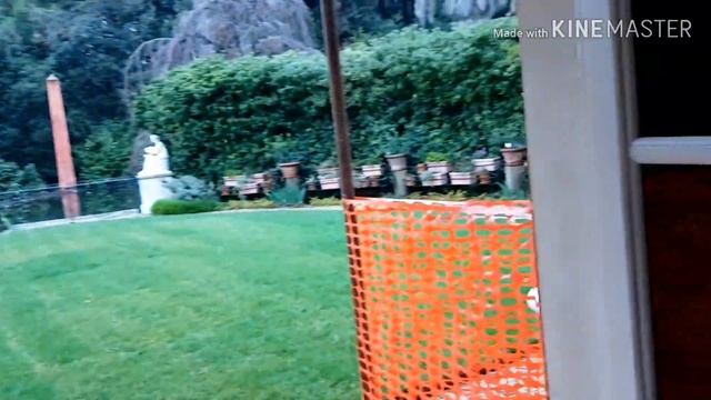 Народ, это сказка.... смотреть онлайн