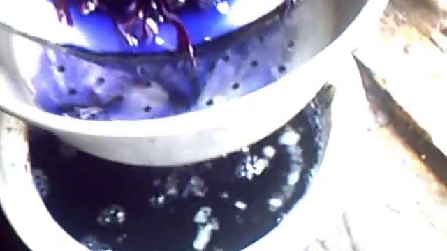 синяя "красная капуста" смотреть онлайн