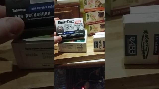 БЛАГОДАРИМ!!!! Друзьям нашего КошкиногоДома... Благодарность от деток❤️Помочь может каждый!!! смотреть онлайн