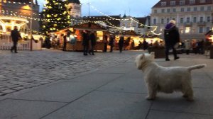 Looking for the Christmas, Tallinn 2015