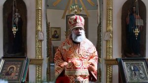 Проповедь епископа Питирима (Творогова) в день памяти иконы Божией Матери  Живоносный Источник