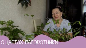 Новые папоротники. Болталка о цветах и планах на них.