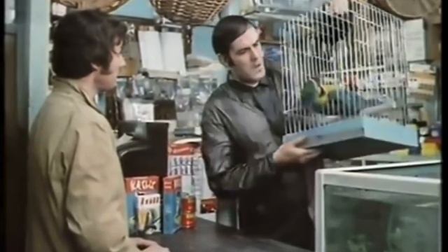 Monty python dead parrot смотреть онлайн