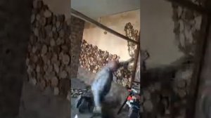 Панно из спилов дерева, процесс изготовления